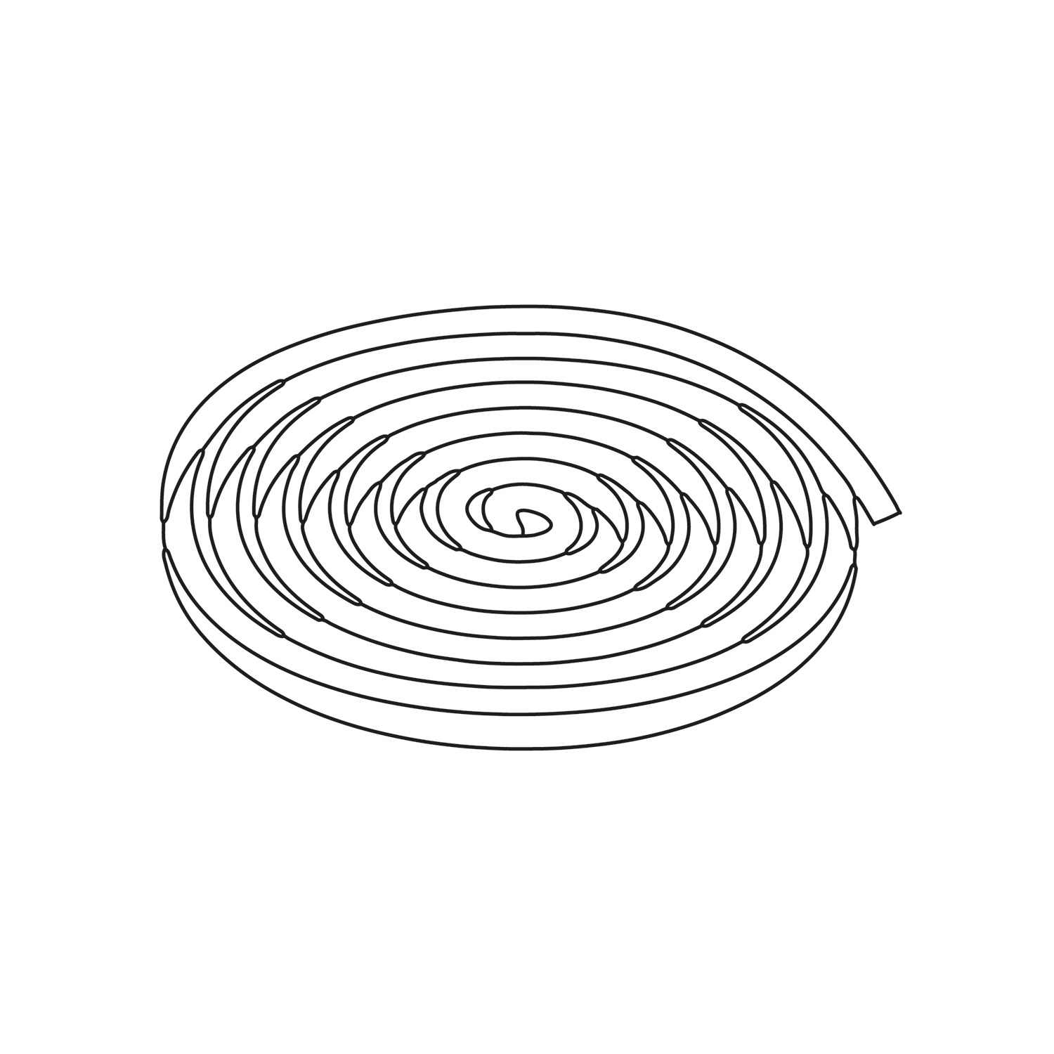 Thule Rope 1/4" Diameter