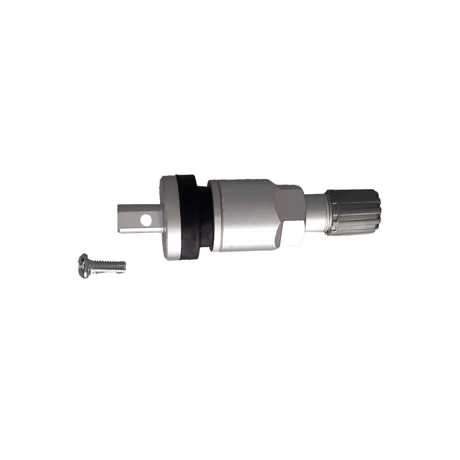 Schrader / EU-Pro Clamp-in Ventil (dual fitment) Silber - 1 Stück