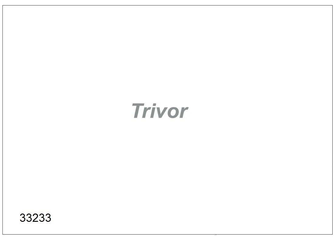 Aufkleber Trivor Silber
